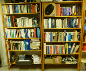 Biblioteket som det såg ut 2014